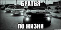 Братья по жизни