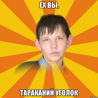 ех вы, тараканий уголок