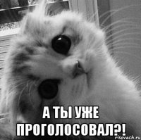  А ты уже проголосовал?!