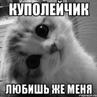 Куполейчик Любишь же меня