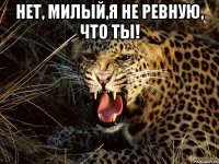 НЕТ, МИЛЫЙ,Я НЕ РЕВНУЮ, ЧТО ТЫ! 