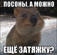посоны, а можно ещё затяжку?
