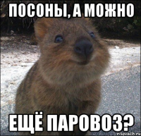 посоны, а можно ещё паровоз?