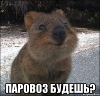  паровоз будешь?