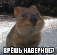  врёшь наверное?