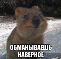  обманываешь наверное