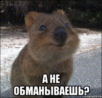  а не обманываешь?