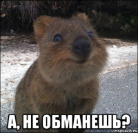  а, не обманешь?