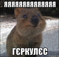 яяяяяяяяяяяяяя гєркулєс