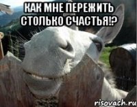 Как мне пережить столько счастья!? 