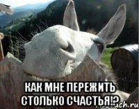  Как мне пережить столько счастья!?