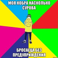 моя кобра насколько сурова бросаеца без предуприждения