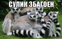 Сулик збагоен 