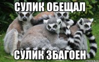 Сулик обещал Сулик збагоен