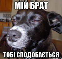 мій брат тобі сподобається
