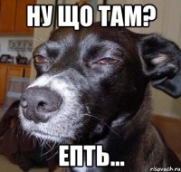 Ну що там? епть...