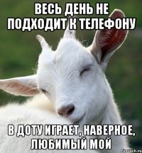 Весь день не подходит к телефону В доту играет, наверное, любимый мой