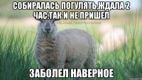 собиралась погулять,ждала 2 час,так и не пришел заболел наверное