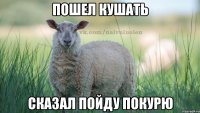 Пошел кушать Сказал пойду покурю