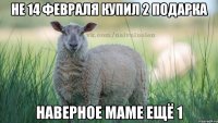 не 14 февраля купил 2 подарка наверное маме ещё 1