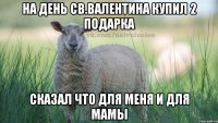 на день св.валентина купил 2 подарка сказал что для меня и для мамы