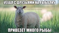 уехал с друзьями на рыбалку привезет много рыбы