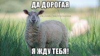 Да дорогая я жду тебя!