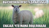ВЫСКОЧИЛА ПРОСТУДА НА ГУБАХ СКАЗАЛ, ЧТО МАМА ПОЦЕЛОВАЛА