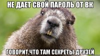 не дает свой пароль от ВК говорит,что там секреты друзей