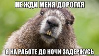не жди меня дорогая я на работе до ночи задержусь