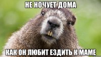 не ночует дома как он любит ездить к маме
