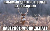 Любимый долго не отвечает на сообщения Наверное, уроки делает