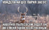 Увидела на шее парня засос Наверное пылесосом задел, он же у меня такой хозяственный