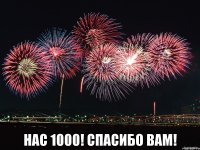  Нас 1000! Спасибо вам!