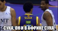 Сука, он и в Африке сука.