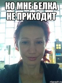 ко мне белка не приходит 
