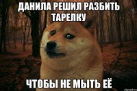 Данила решил разбить тарелку чтобы не мыть её