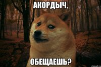 Акордыч, обещаешь?