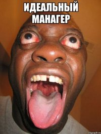 идеальный манагер 