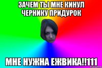 ЗАЧЕМ ТЫ МНЕ КИНУЛ ЧЕРНИКУ ПРИДУРОК МНЕ НУЖНА ЕЖВИКА!!111