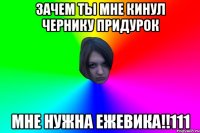 ЗАЧЕМ ТЫ МНЕ КИНУЛ ЧЕРНИКУ ПРИДУРОК МНЕ НУЖНА ЕЖЕВИКА!!111
