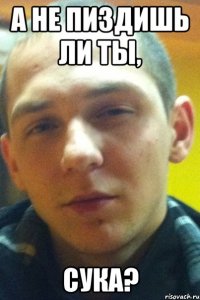 А не пиздишь ли ты, Сука?