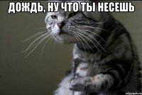 Дождь, ну что ты несешь 
