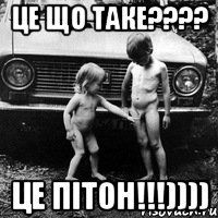 це що таке???? це ПІТОН!!!))))
