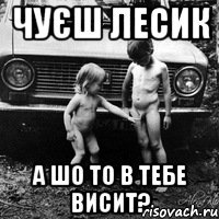 чуєш лесик а шо то в тебе висит?