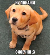 Ну покажи сисечки :3