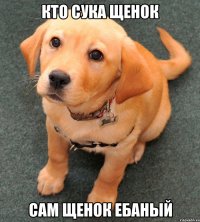 Кто Сука щенок Сам щенок ебаный