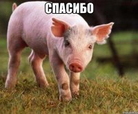 спасибо 