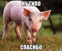 ну типо спасибо