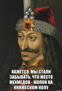  Кажется, мы стали забывать, что место мехмедов - жопой на княжеском колу